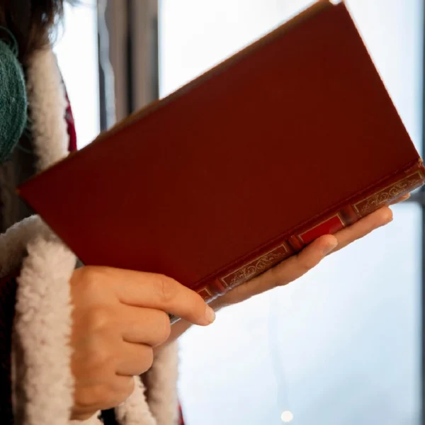 Libro “Clásicos de la literatura española” - Imagen 2